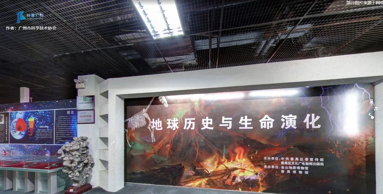 金山地质博物馆 VR博物馆全景展示 广州市 | 广州全景信息科技