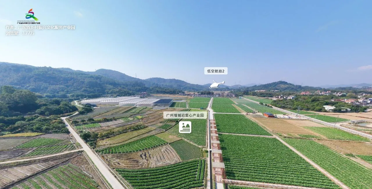 增城迟菜心产业园 VR农业全景拍摄 增城迟菜心 | 广州全景信息科技